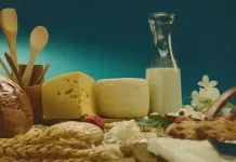 Top 10 des aliments riches en calcium pour une santé optimale aliments riches en calcium