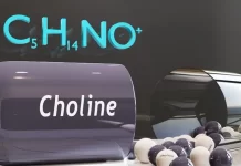La choline: quels sont ses bienfaits ? la choline